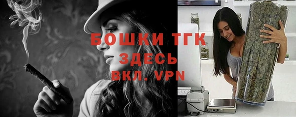 прущие грибы Бронницы