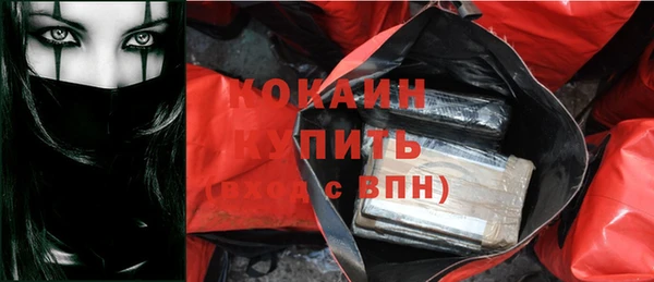 прущие грибы Бронницы
