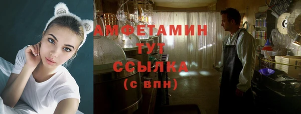 прущие грибы Бронницы