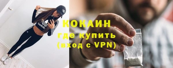 прущие грибы Бронницы