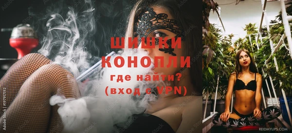 прущие грибы Бронницы