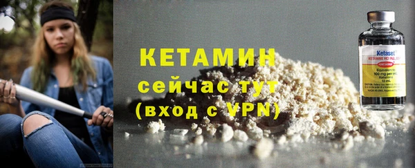 прущие грибы Бронницы