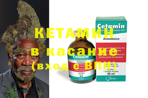прущие грибы Бронницы