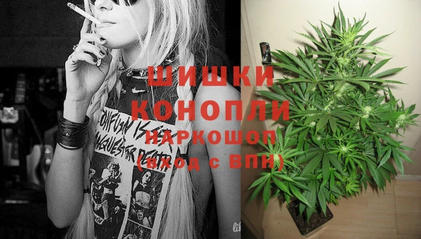 прущие грибы Бронницы
