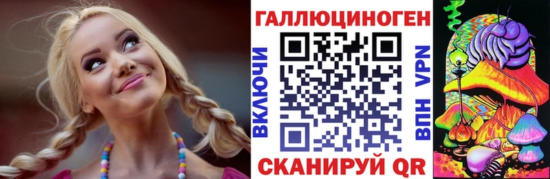 где можно купить наркотик  Нестеров  Галлюциногенные грибы мицелий 